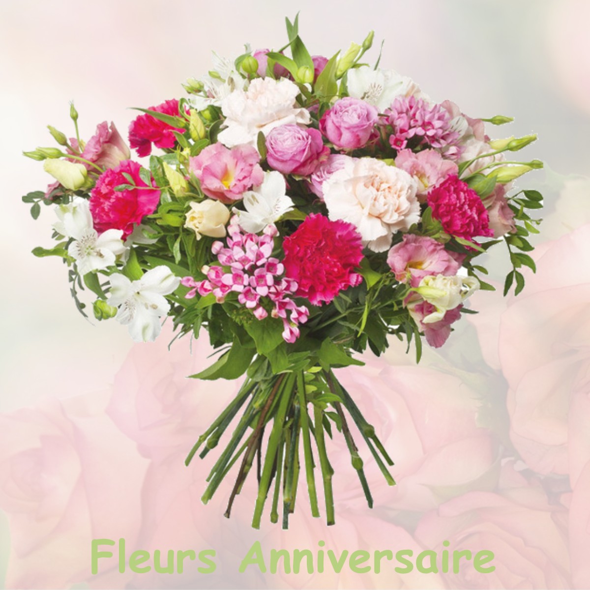 fleurs anniversaire REMILLY-AILLICOURT